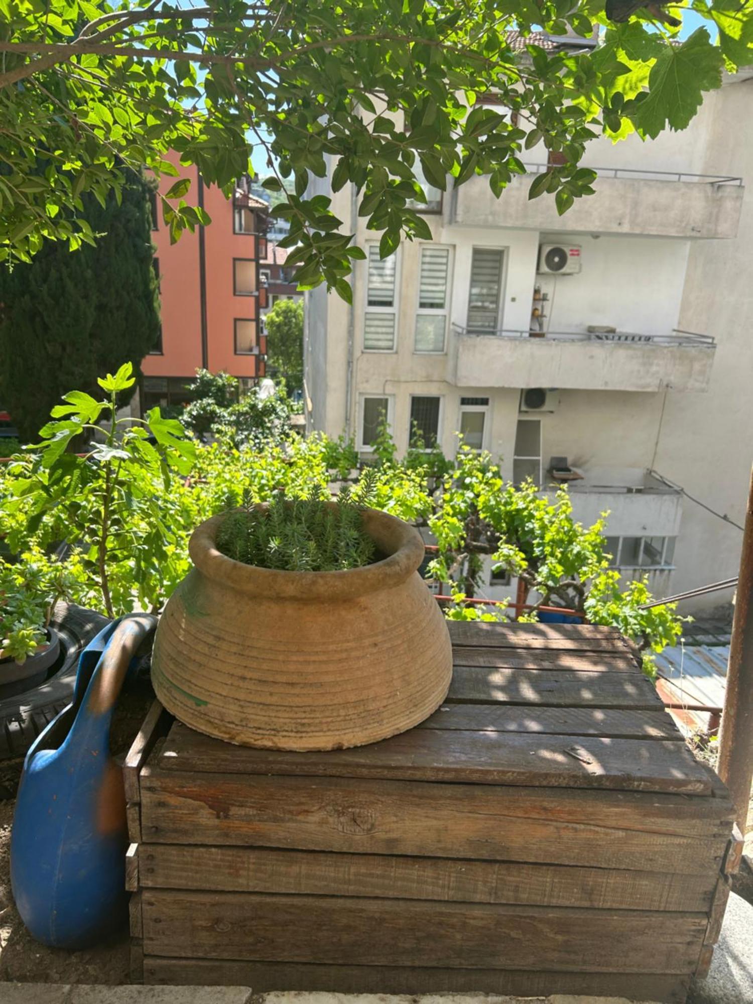 Didi House Appartement Sandanski Buitenkant foto