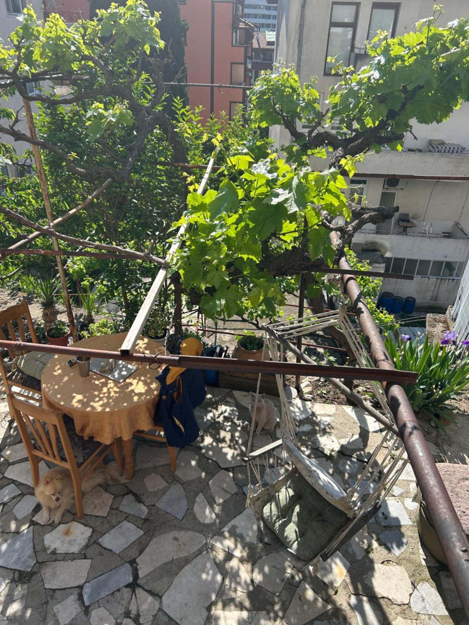 Didi House Appartement Sandanski Buitenkant foto